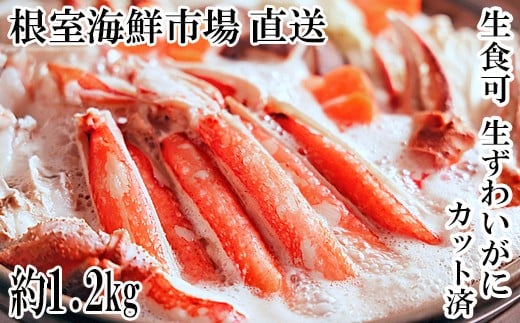B-14101【12/10まで年内配送】  生食可！カット済み生ずわいがに約1.2kg(お刺身・焼きガニ・カニ鍋等)