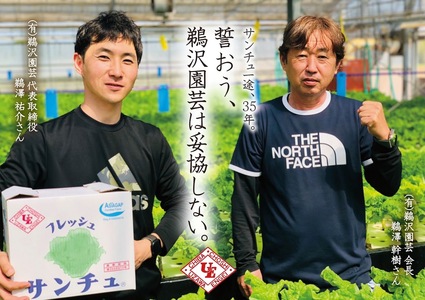 「 フレッシュサンチュ 」 合計100枚（10枚入×10パック） 新鮮 フレッシュ サンチュ 焼き肉レタス チシャ チシャ菜 野菜 菜物 焼肉 焼き肉 BBQ バーベキュー 夏休み 銚子産 千葉県 銚