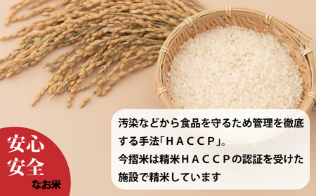 【令和7年産】生活応援！価格大幅改定！≪定期便3ヶ月≫ 無洗米 11kg×3回 計33kg ブランド米 籾貯蔵今摺米 きたくりん 北海道米 北海道 10kg以上 米【A-007】