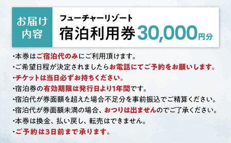 宿泊券 フューチャーリゾート 宿泊利用券30,000円分 [AQCG010]