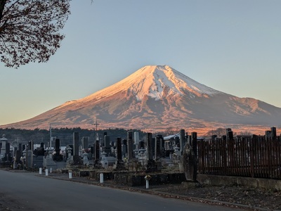 承天寺　忍野富士樹木葬永代供養