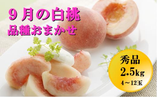 08-05-039　もも：9月の白桃2.5kg、品種おまかせ