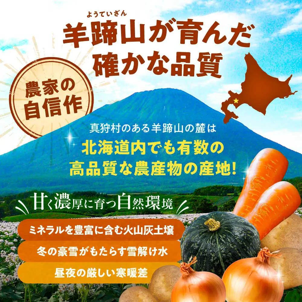 【先行予約】 秋の味覚セット [BPAM001] 野菜セット 北海道