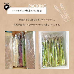 生で食べれる !! アスパラガス 3色 セット（ グリーン ・ホワイト ・ パープル  ）約 1.1kg | 新鮮 アスパラ 野菜 ソムリエ 健康 熊本県産 熊本 玉名