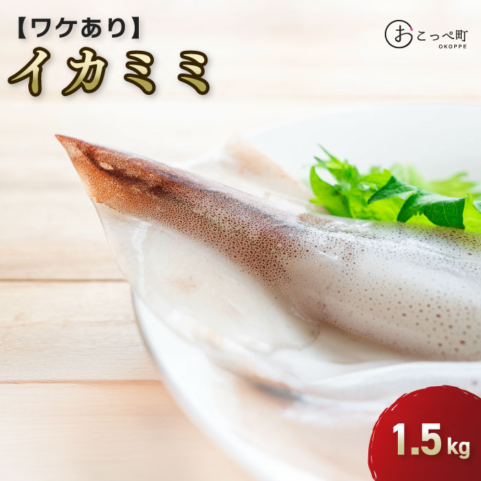 【ふるさと納税】ワケありイカミミ1.5kg