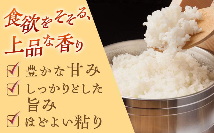 お米 米 ご飯 白米 白ご飯 ごはん コメ お弁当 精米 精白米 夢しずく 10㎏