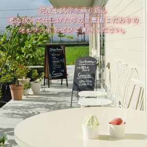 いちごジェラート 12個入 いちご