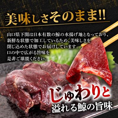 ふるさと納税 下関市 鯨の赤肉刺身 900g 冷凍 刺身 鯨 くじら クジラ 下関 山口 BY120 |  | 01