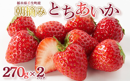 【先行受付】とちあいか 約270g×2パック ｜ いちご 苺 イチゴ 果物 フルーツ 人気 数量限定 カクテル ヨーグルト スムージー 旬 栃木県 壬生町 ※2026年1月中旬～3月下旬頃に順次発送予定