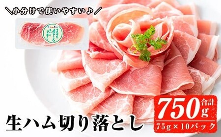 ＜2026年6月中に発送予定＞国産 豚 生ハム 切り落とし 75g×10P(計750g) おつまみ 小分け 【ナンチク】A302-06-v01