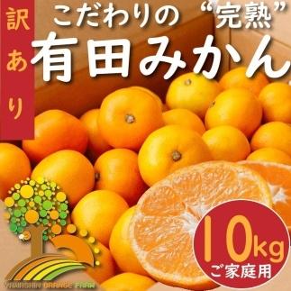 【訳あり】有田みかん 約10kg【2024年10月下旬より順次発送】 303446_BM1043