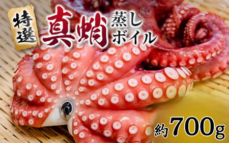 たこ 蒸しボイルたこ 約700g 1尾 【hane0009】