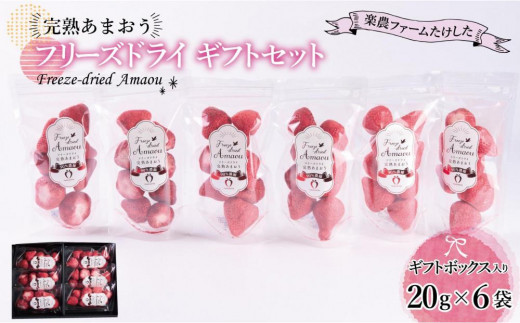 
            形も味もそのまま楽しめる！完熟あまおう【フリーズドライギフトセット】 (20g×6袋)【あまおう 食品 あまおう フルーツ あまおう 果物 苺くだもの いちご 食品 イチゴ 人気 あまおう おすすめ 送料無料 福岡県 大川市 AA047】
          