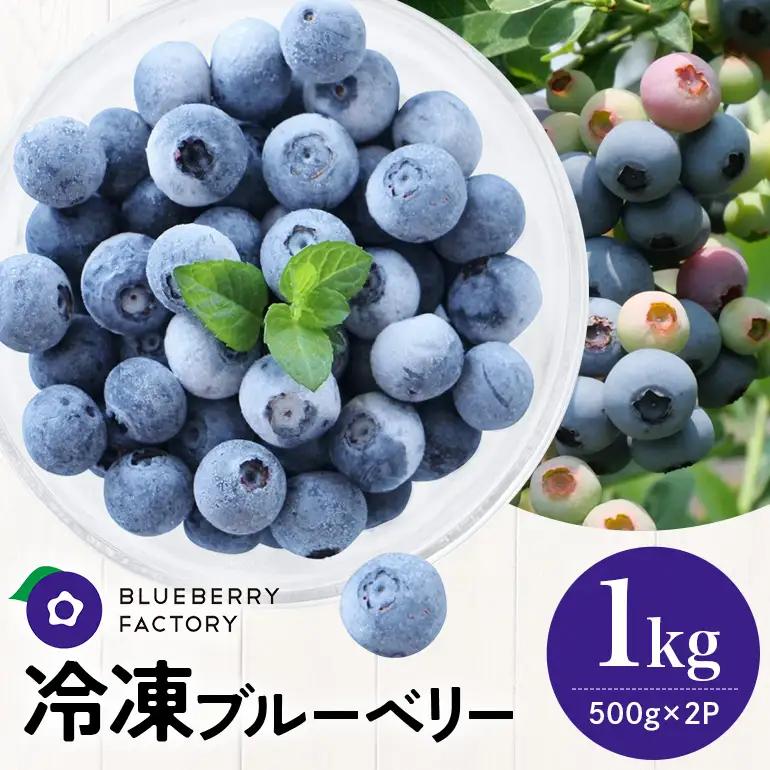 冷凍 ブルーベリー (真空パック保存) 1kg パック(500g×2) 日付指定可 A16-012