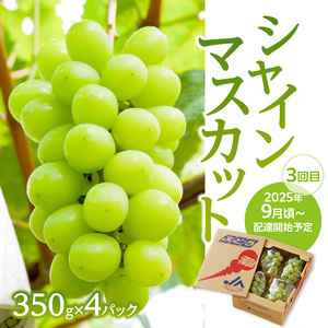 福岡ぶどう定期便【全3回】ぶどう食べ比べ便　JAふくおか八女からお届け！！　002-T002