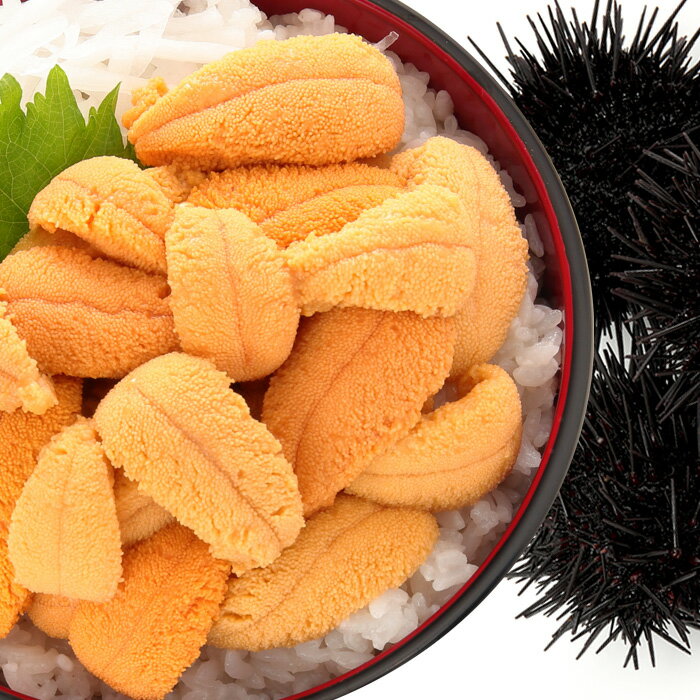 【ふるさと納税】 ムラサキウニ塩水パック ( 80g ~ 90g × 2P ) ( 110 ~ 120g × 2P ) うに ウニ 雲丹 ムラサキうに むらさきうに 紫うに 紫ウニ 紫雲丹 塩水 塩水うに 塩水ウニ ウニ丼 うに丼 雲丹丼 刺身 お取り寄せ グルメ 海鮮 海産物 北海道 根室市 ふるさと納税