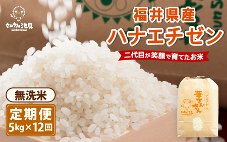 【令和7年産・新米】【12ヶ月連続お届け】ハナエチゼン5kg×12回 計60kg (無洗米) ～福井県産 生産者直送！～ 【米定期便 玄米定期便 回数定期便 こめ定期便 5キロ定期便 定期便】 [N-0203_05]