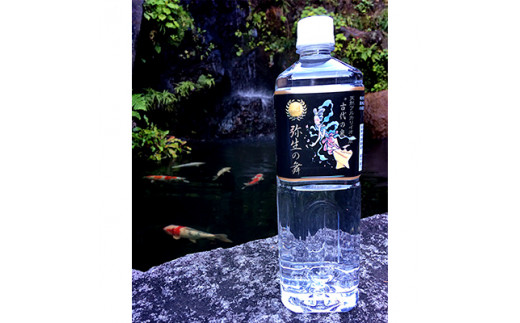 【12ヶ月定期便】奇跡の飲む温泉水「真木温泉 弥生の舞」　飲泉力1000ml 20本入り 12ヶ月