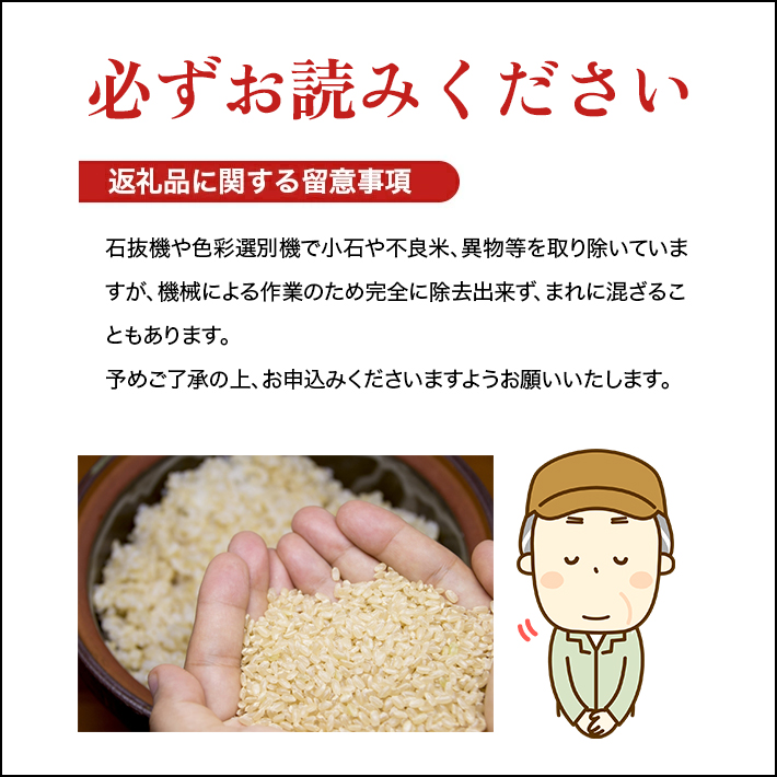 SE0454　令和7年産【精米】はえぬき　10kg(5kg×2袋) YA