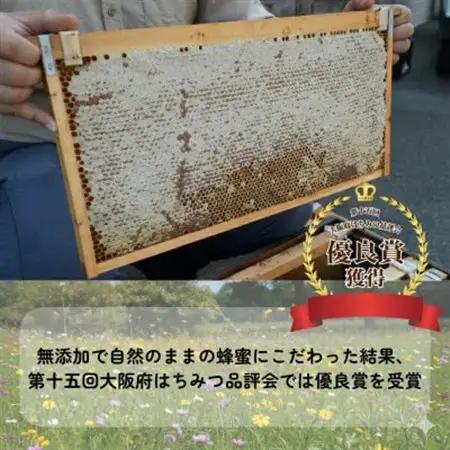 大阪府和泉市　国産天然はちみつ(600g×2)　日蜂協会員　無添加　自家採蜜　大植養蜂園【1680107】