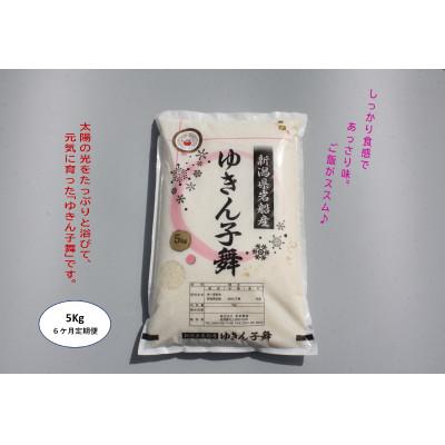 ふるさと納税 村上市 【毎月定期便】【6ヶ月】ゆきん子舞(白米) 5kg全6回
