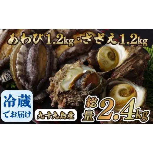 【あわび・さざえ】 セット 生食可 2.4kg あわび 産地直送 A179