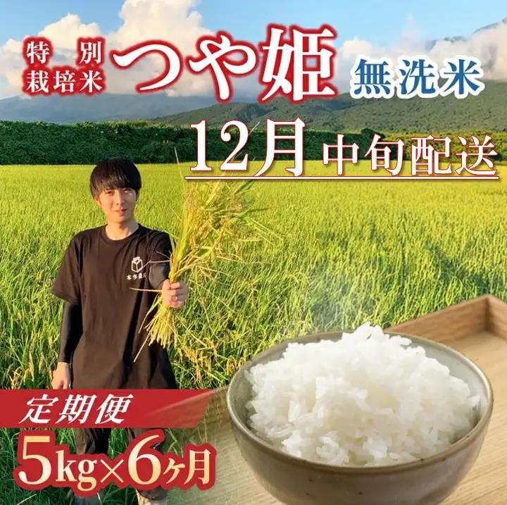 SH0072　12月中旬発送開始／【6回定期便】令和8年産 ［無洗米］つや姫　5kg×6回(計30kg) 農家直送 HO