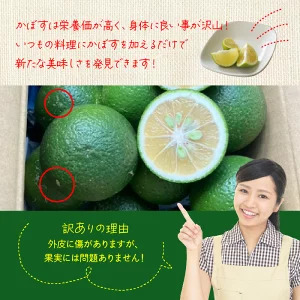 【先行予約】【訳あり】【選べる容量】農家直送！竹中農園 かぼす 約2.3kg_2473R