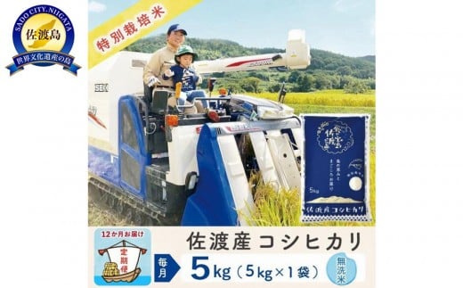 【新米予約 12か月定期便】佐渡島産コシヒカリ 無洗米5Kg 令和7年 特別栽培米 農家直送