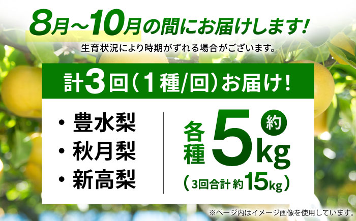 【先行予約】【数量限定】【3回定期便】 梨 約5kg 計約15kg（豊水・秋月・新高）【日本フルーツ株式会社】 [ZFJ024]