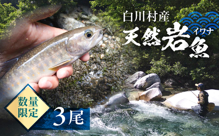 白川村産 天然岩魚 イワナ 3尾 18cm以上 岩魚 天然 いわな イワナ 魚 川魚 BBQ バーベキュー アウトドア 岐阜県 白川郷 世界遺産 塩焼き 5000円 [S801]