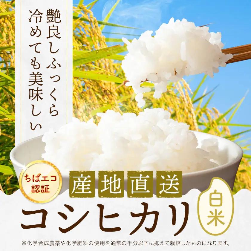 【3ヶ月定期便】R8年産米 米 白米 コシヒカリ 5kg 《お申込みの翌月から出荷》