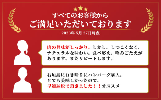 石垣牛 ハンバーグ セット (100g×10個)＜2026年7月発送＞【国産 石垣牛100% 沖縄 石垣島産 高級 黒毛和牛 ビーフ ハンバーグセット 】A-06_07