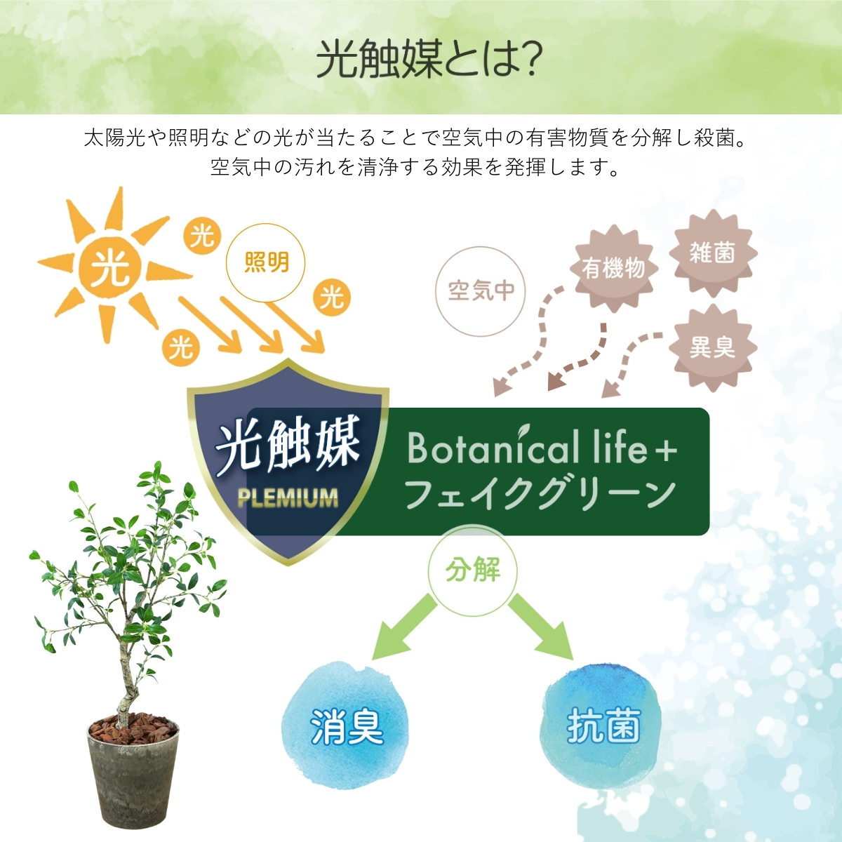フェイクグリーン Botanical life+ Dシリーズ ガジュマル 100cm 光触媒加工 鉢付き （鉢： ナチュラルカラー ブラウン ） インテリア 抗菌 消臭 愛知県 豊橋市 送料無料 41