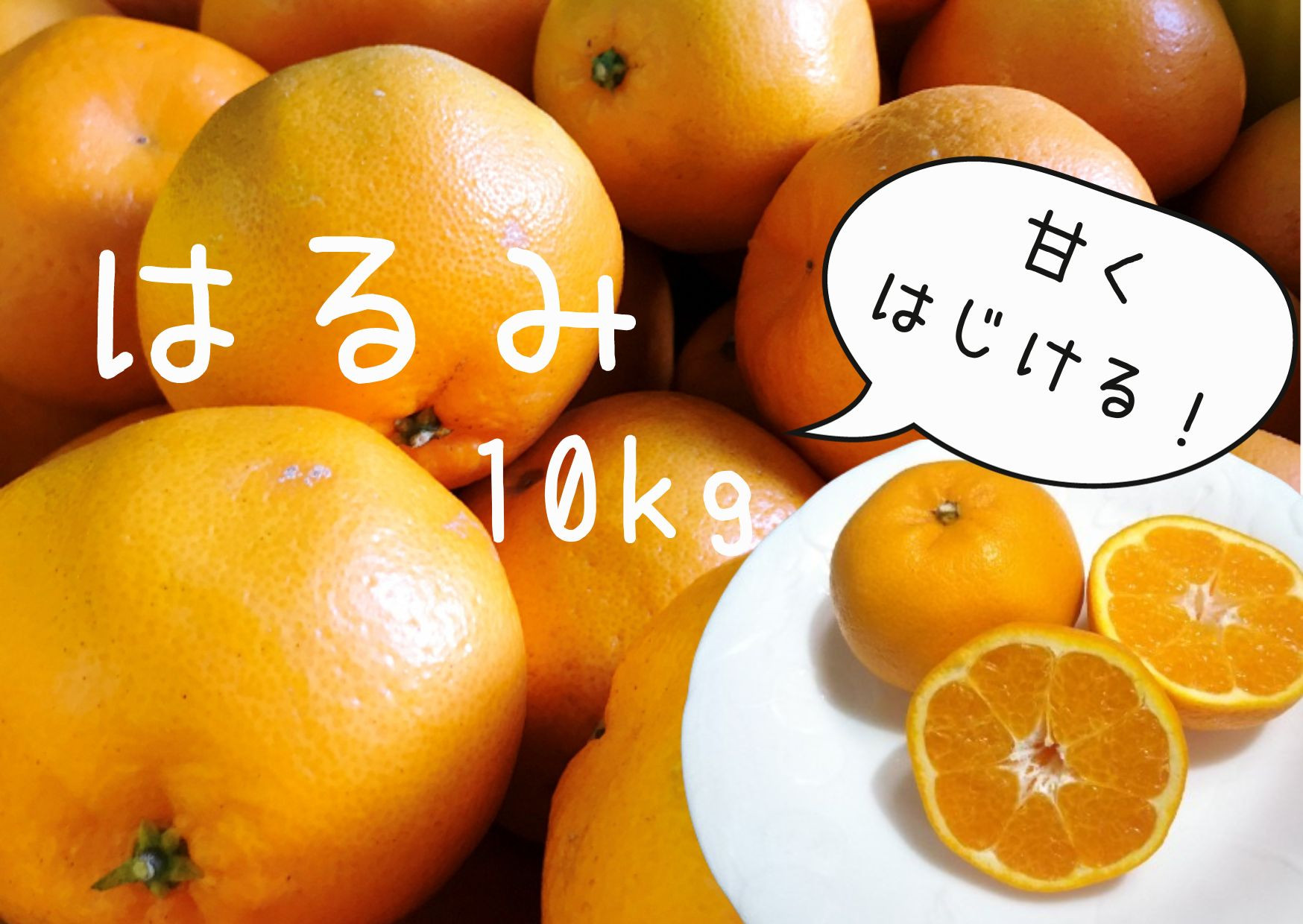 
湯の花　はるみ10kg箱セット　【10Kg はるみ みかん 果物 フルーツ 旬 柑橘 甘い 新鮮 】
