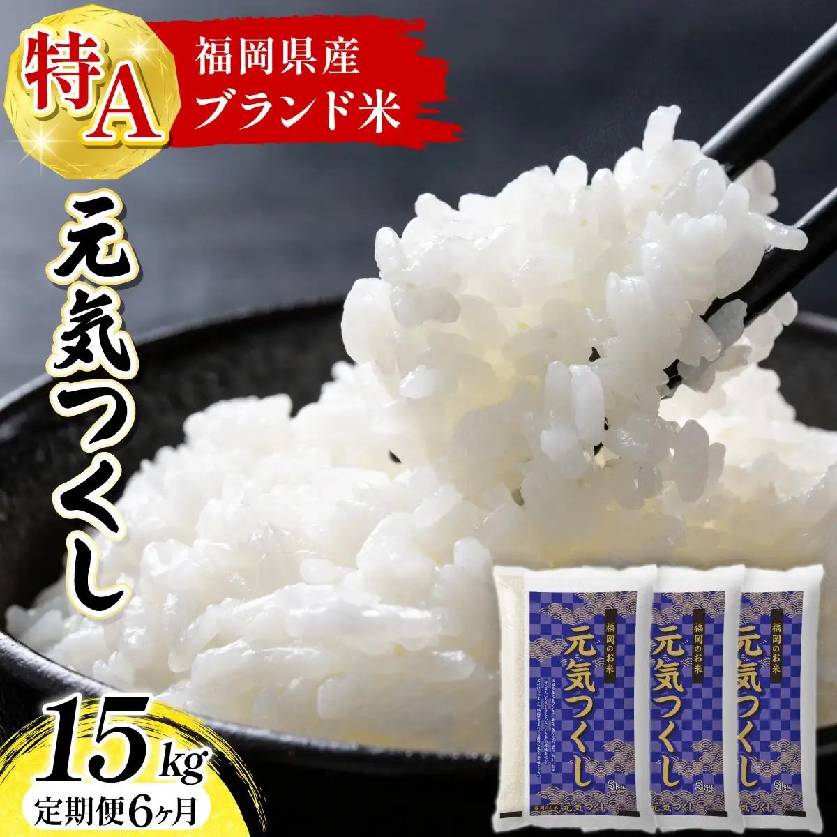 【定期便：６ケ月】令和７年産 福岡県産米 元気つくし 15kg 精米 CY013sub6