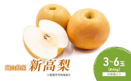 梨 新高梨 化粧箱 岡山県産 梨【約4kg 3～6玉】【先行予約】