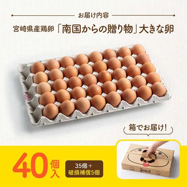 宮崎県産鶏卵　「南国からの贈り物」大きな卵40個入り（35個+破損補償5個）【卵 鶏卵 新鮮 生卵 タマゴ おうち時間】[C01401]