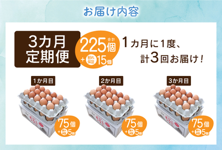 【3ヶ月定期便】富士山の麓で育った産地直送 ”忍野の卵”※卵75個+割れ保証5個　計240個