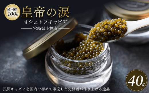 【純国産キャビア】オシェトラキャビア 40g（20g×2） 皇帝の涙 国産 チョウザメ キャビア 国産キャビア 魚卵 宮崎県