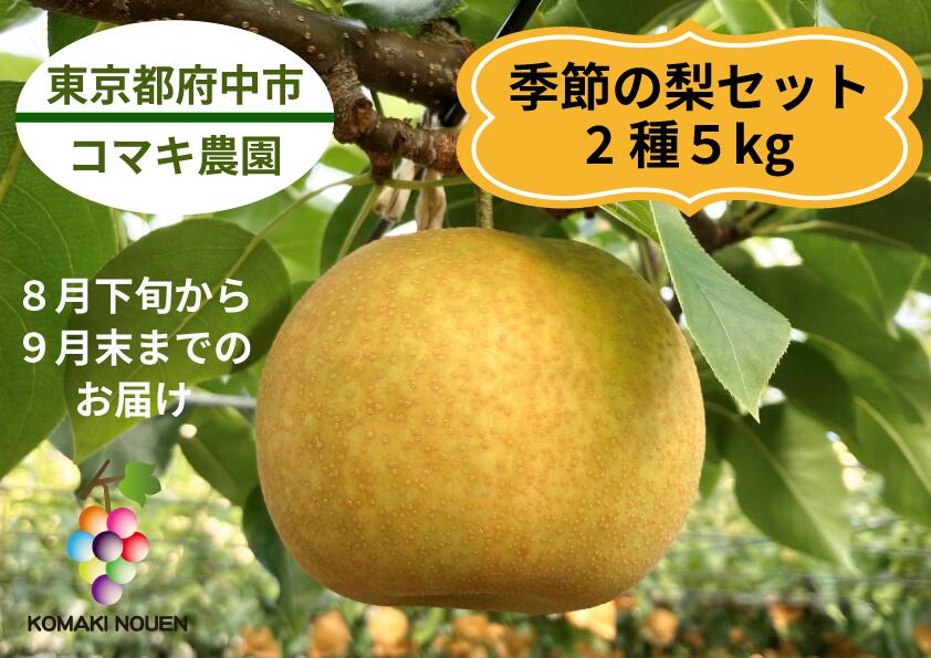 【ふるさと納税】コマキ農園・季節の梨セット