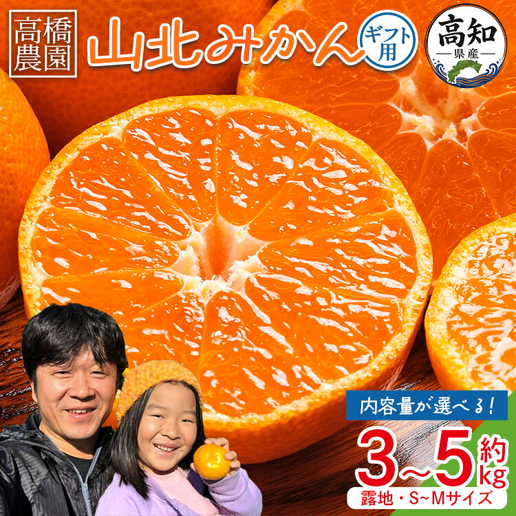 【ふるさと納税】【2026年11月中旬より順次配送】山北みかん（露地・S〜Mサイズ）約3kg／約5kg - 大容量 選べる内容量 先行予約受付 小玉 果物 フルーツ 柑橘 おすそ分け 贈答用 ギフト のし 配送日指定不可 送料無料 5キロ 高橋農園 高知県 香南市【常温】Rth-0014