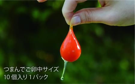 【全12回定期便】《 鶏 の 炭火焼 と ブランド 卵 のセット》緑の農園 満喫セット糸島市 / 緑の農園 [AGA035]