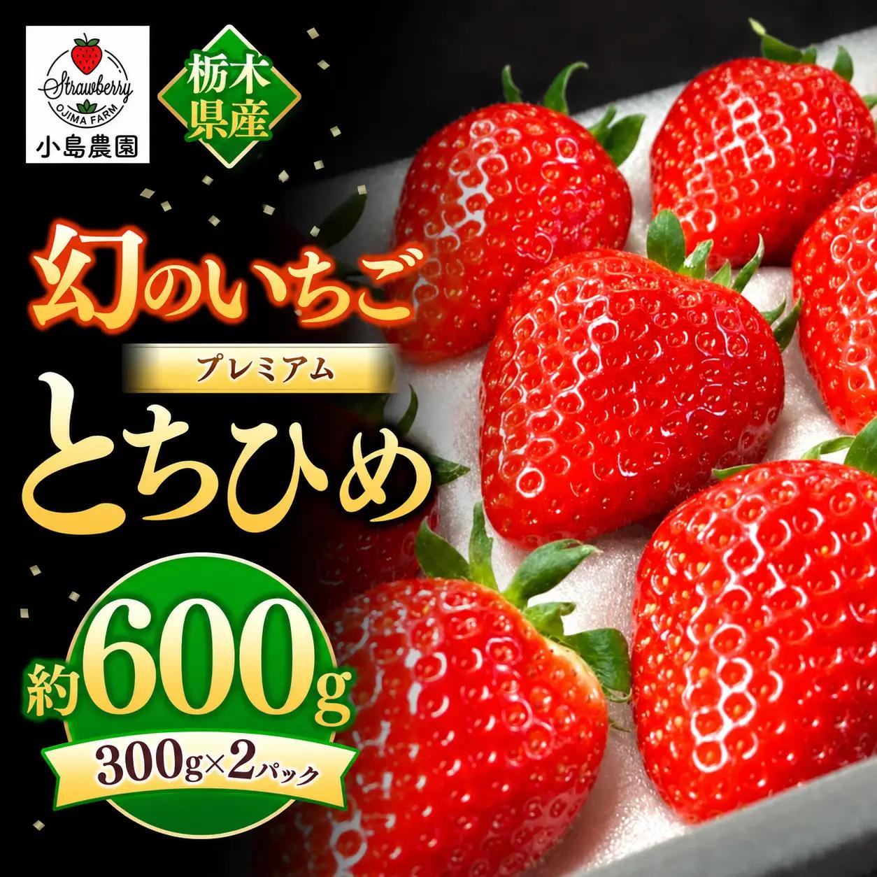 【2027年先行予約】幻のプレミアムいちご とちひめ 600g