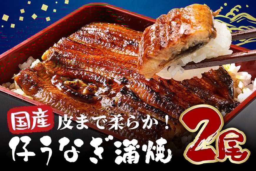 
            国産 とても大きな 新仔うなぎ蒲焼 2尾 計440～500g (220～250g×2尾) 肉厚ジューシー ふっくら柔らか ブランド鰻使用 秘伝のタレ・山椒付き 湯煎で簡単調理 うな丼 うな重 贈答用 ギフト 冷蔵配送 茨城県 潮来市 (A23-004)
          