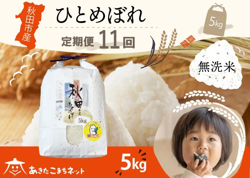 《定期便11ヶ月》ひとめぼれ 5kg 【無洗米】秋田市産