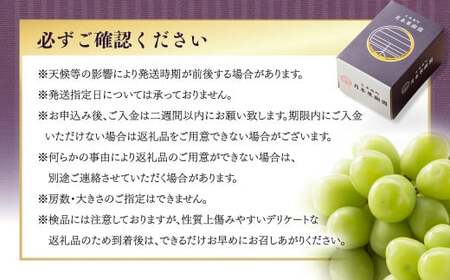 【定期便2回】 ［種なし］ 岡山県産 クイーンニーナ ・ シャインマスカット 1kg箱（2房入り）【2026年9月上旬発送開始】 ／ ぶどう ブドウ 葡萄 大粒 種なし 種無し フルーツ 果物 くだも
