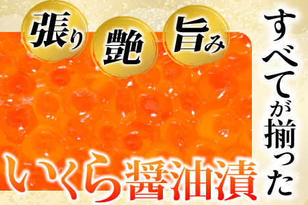 ＜計320g＞根室海鮮市場＜直送＞いくら醤油漬(鮭卵)160g×2P B-28012