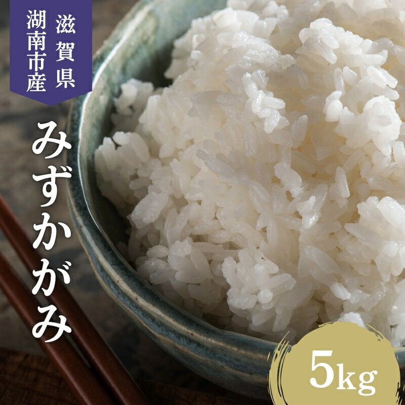 【ふるさと納税】【先行予約受付中】令和7年産 滋賀県産 米 みずかがみ 5kg
