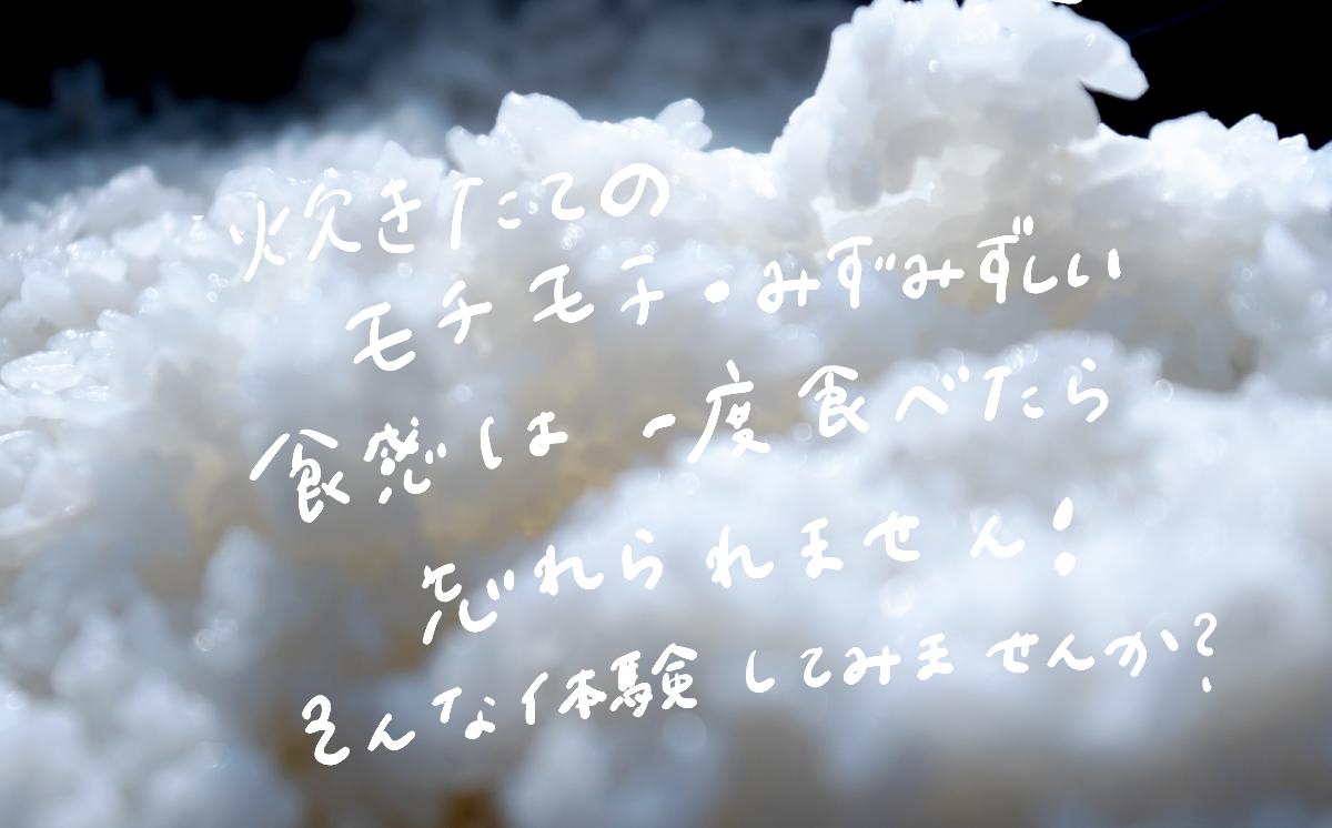 令和7年産 一等米 球児の米 （ ミルキークイーン玄米 ） 5kg | 米 こめ コメ お米 ご飯 5kg 10kg 20kg 30kg 玄米 ミルキークイーン 新米 おすすめ 茨城県 つくば市